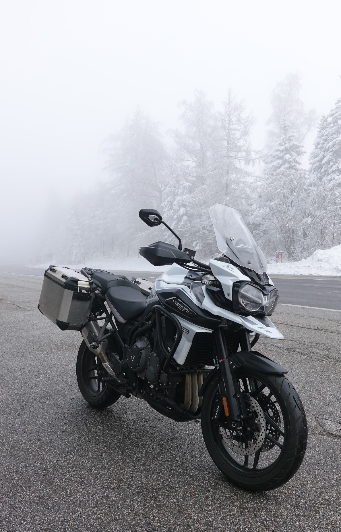 HintergrundWinter_copy_1188x1851.jpg