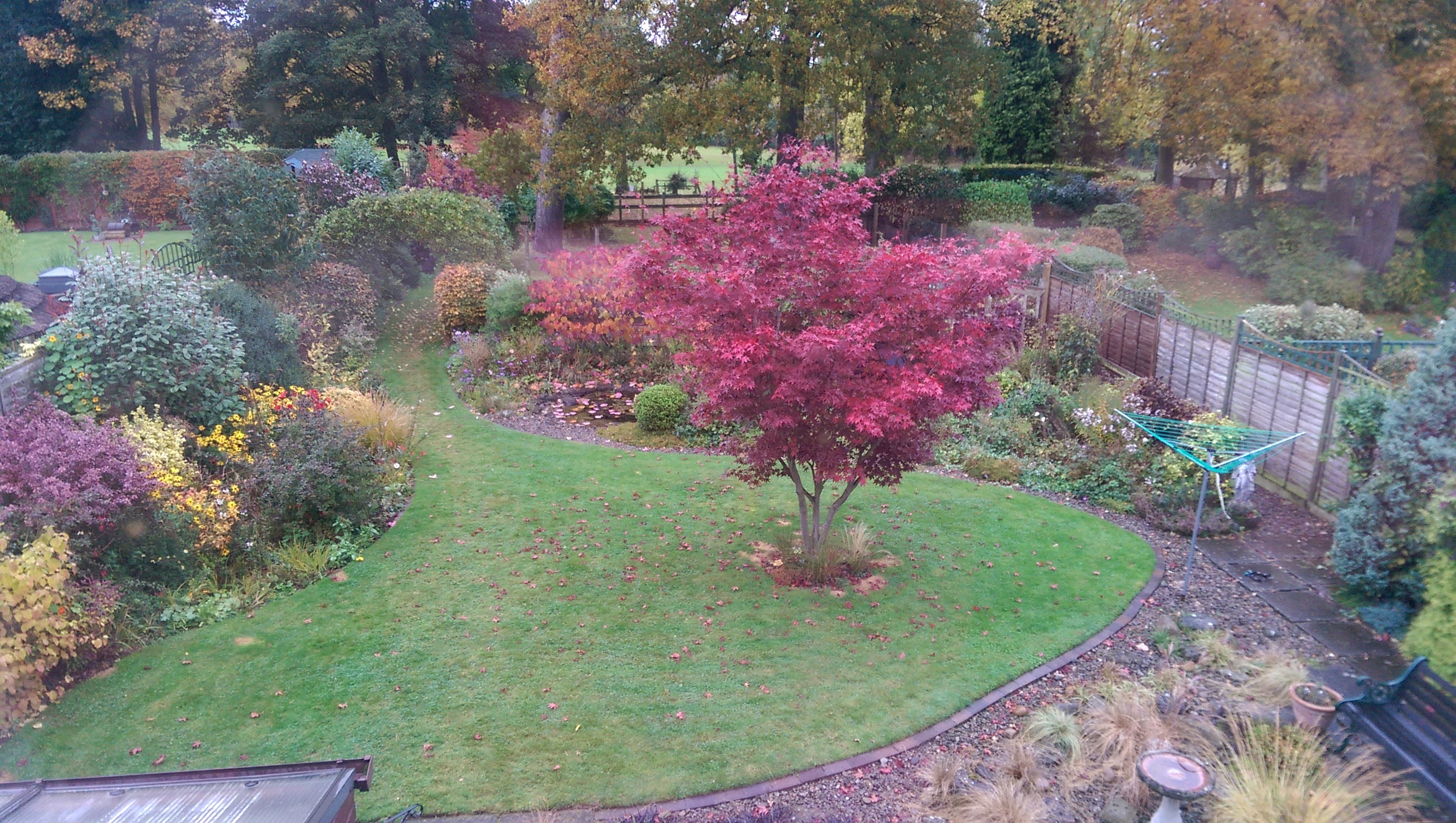 IMAG0260.jpg