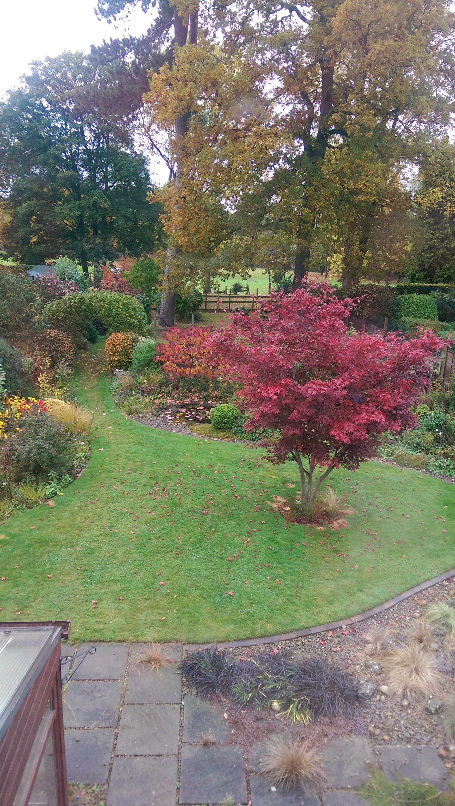 IMAG0261.jpg
