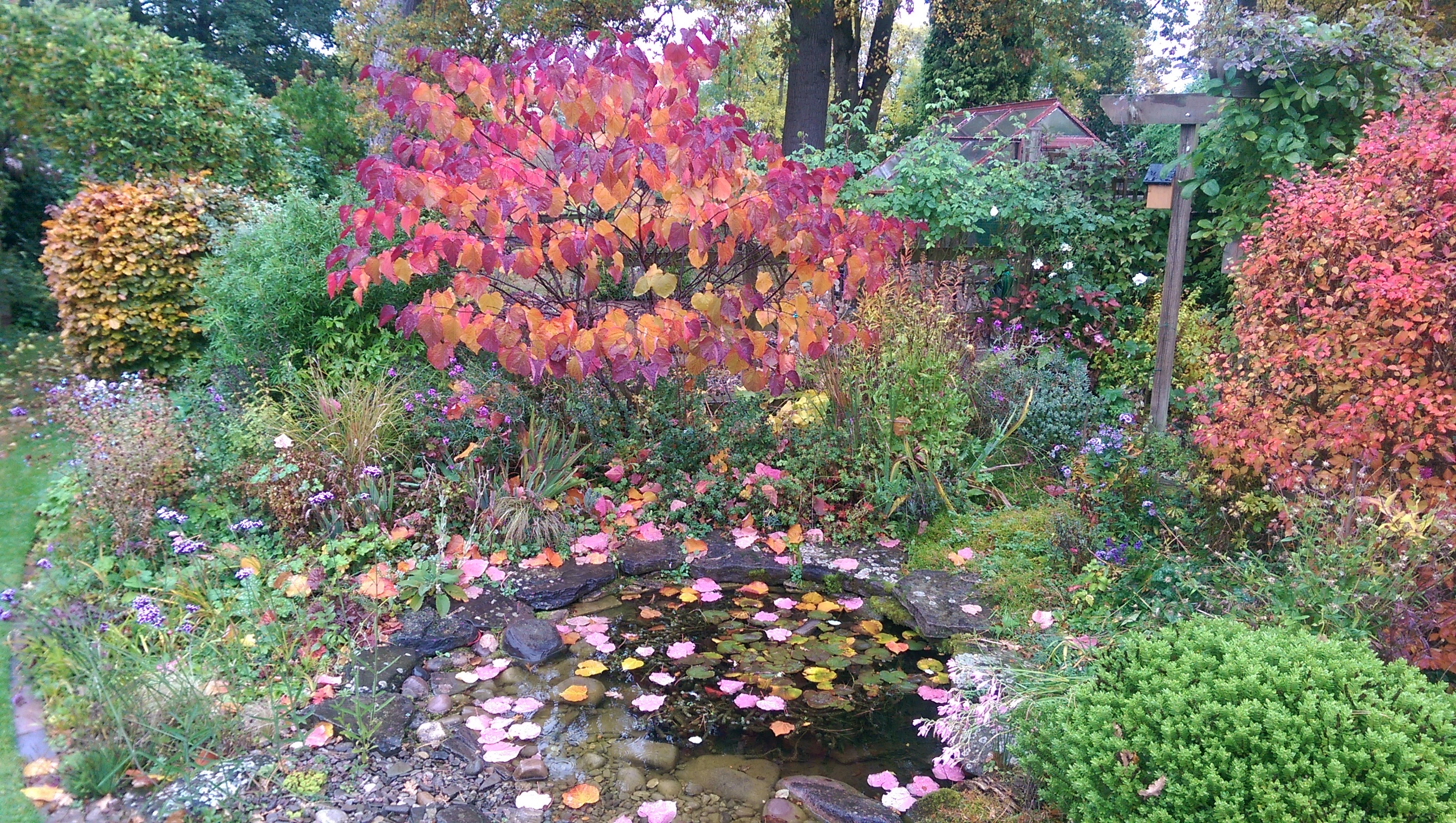 IMAG0264.jpg