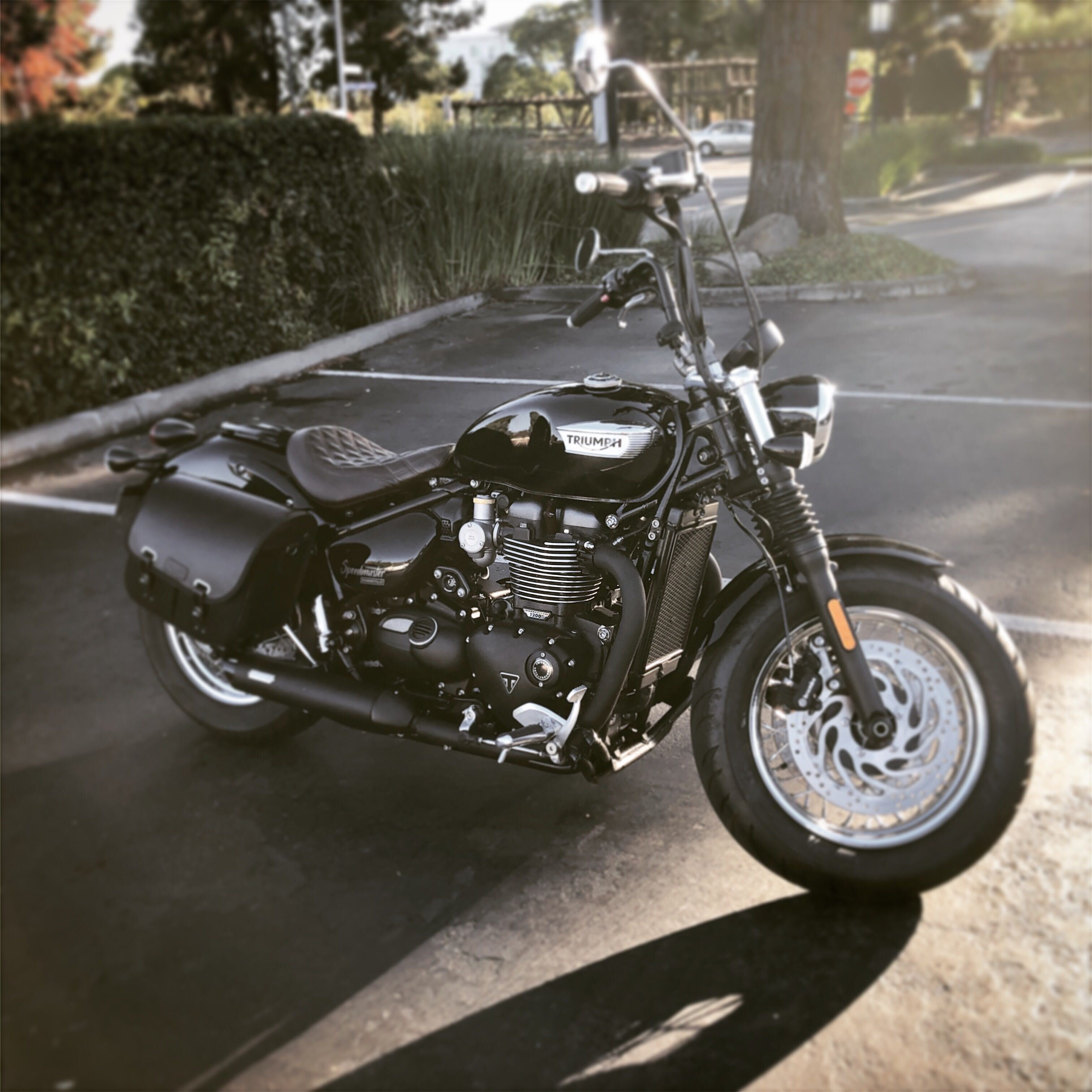 Image from iOS (1).jpg