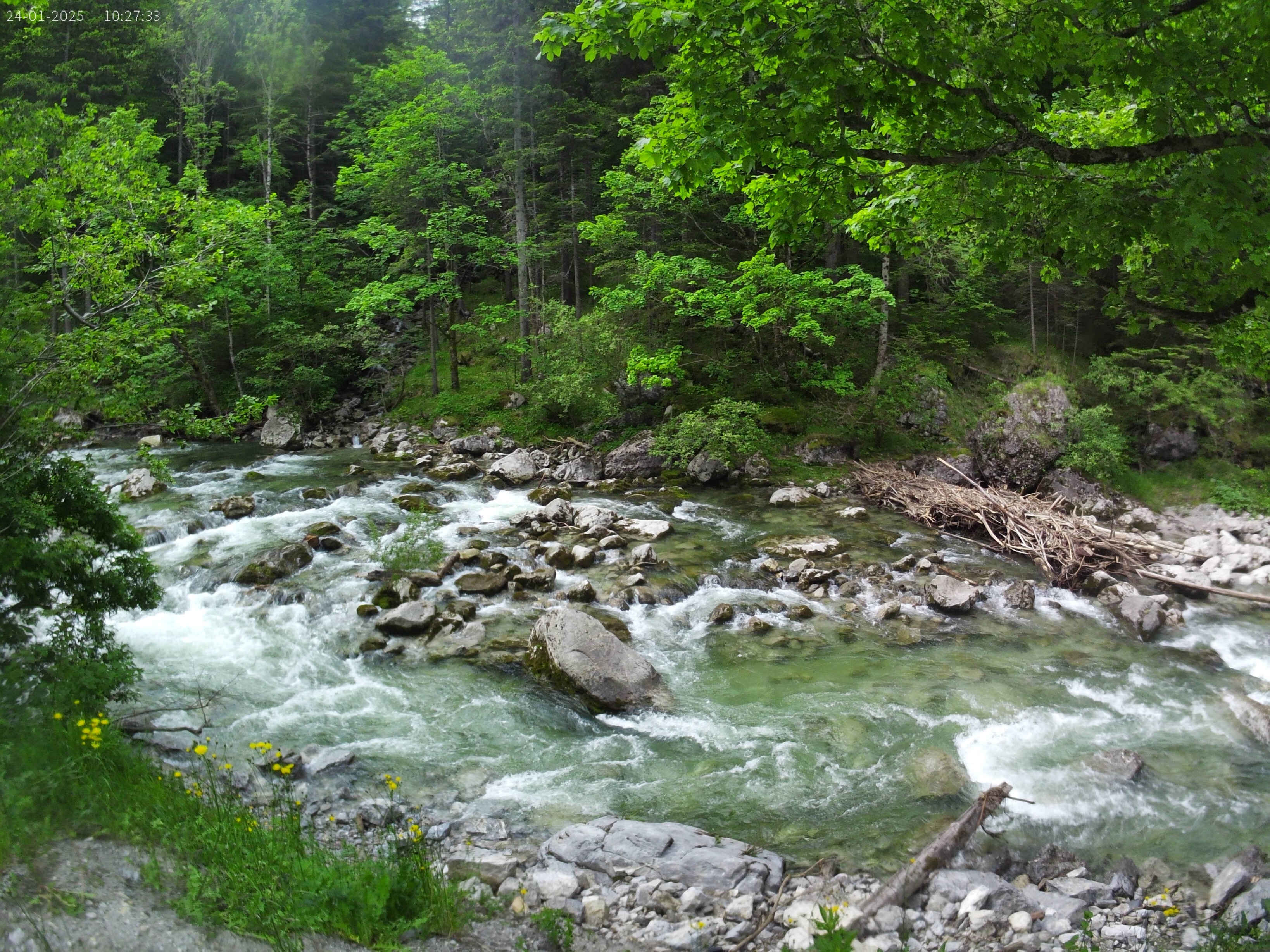 IMG-0021-A_copy_3276x2457.jpg