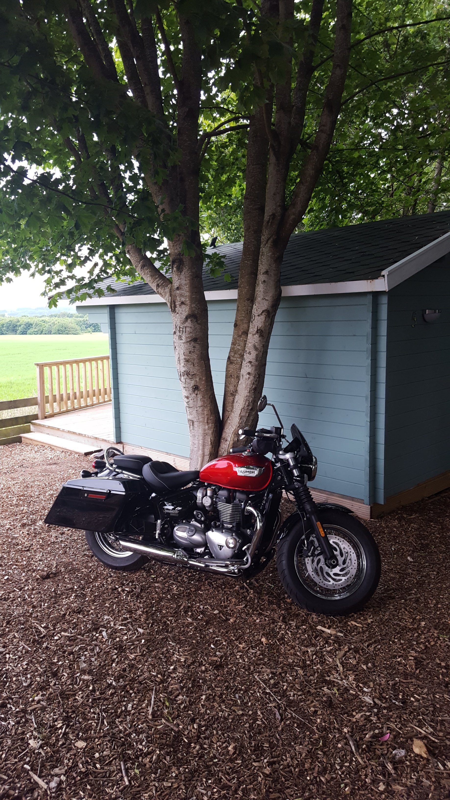 IMG-20220624-WA0000.jpeg