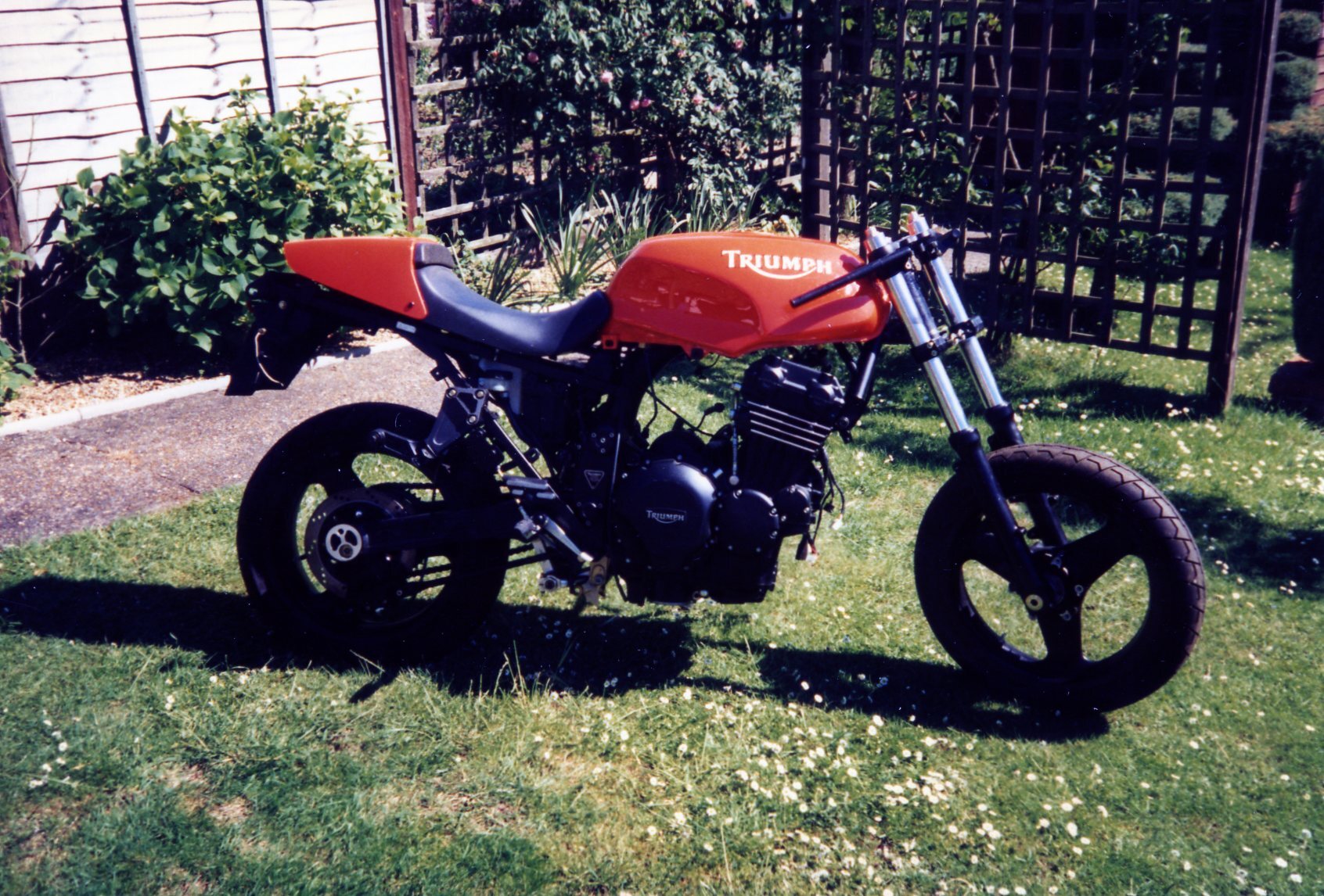 img051.jpg
