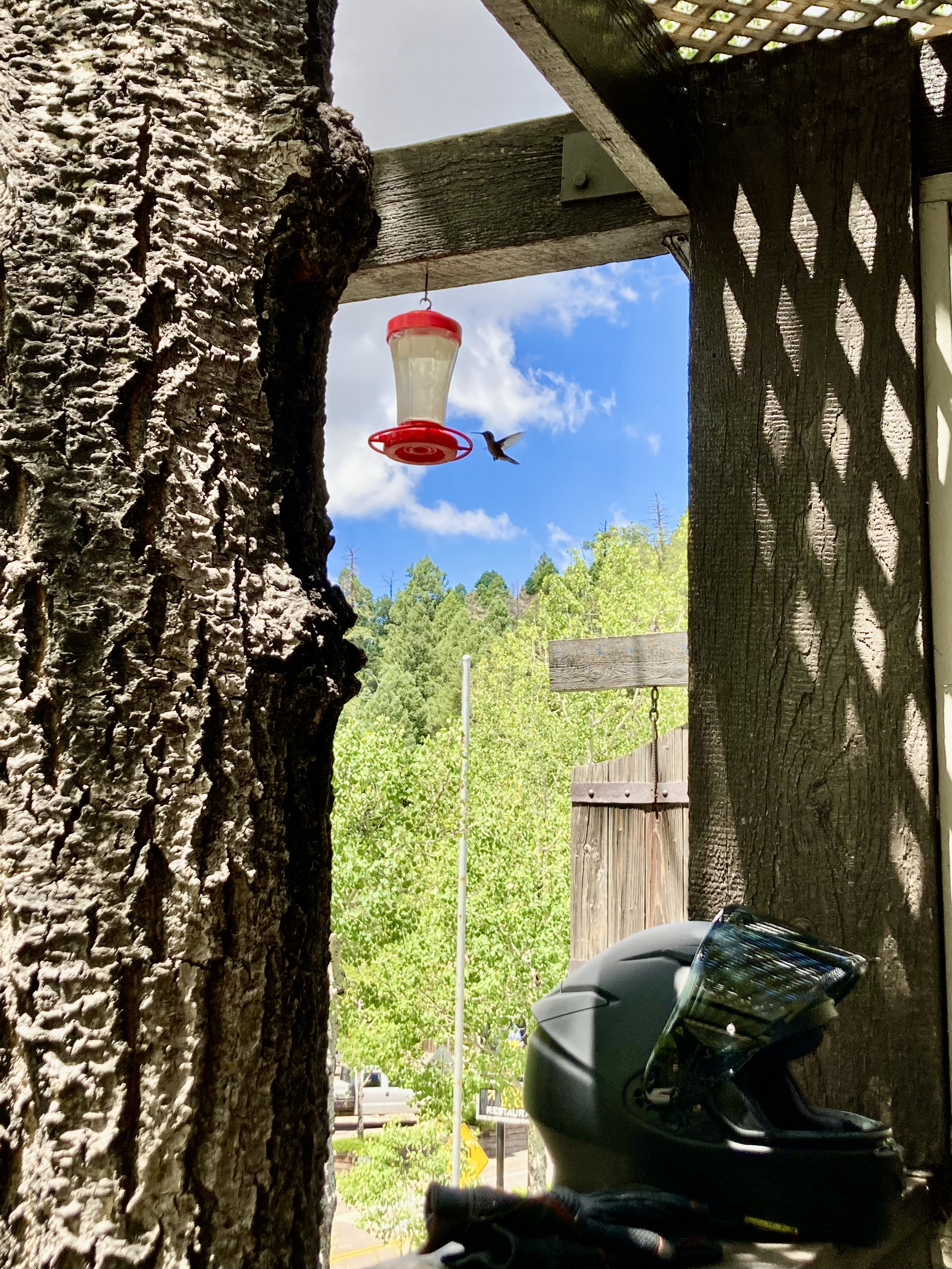 IMG_0845.jpeg