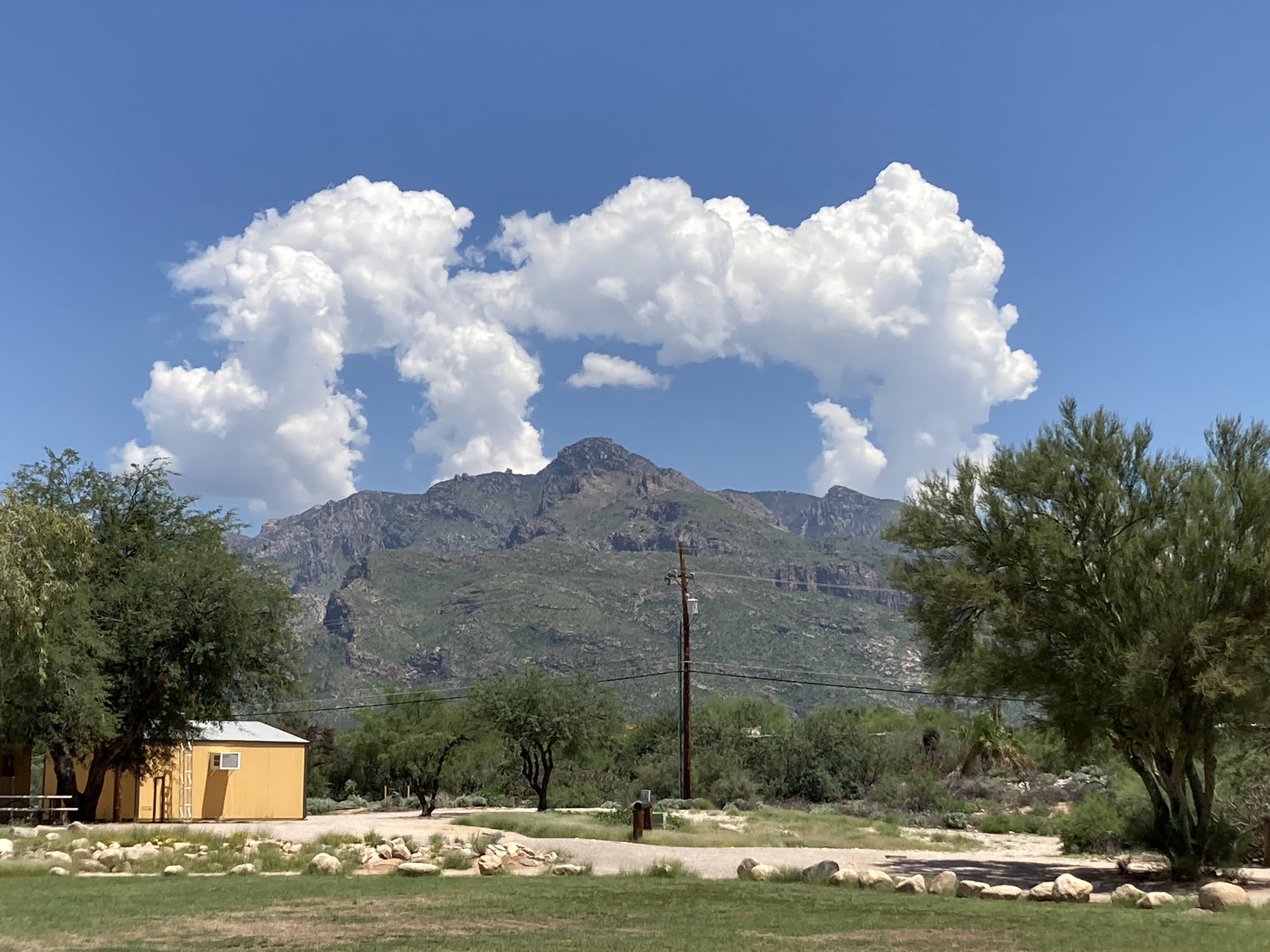 IMG_2019.jpeg