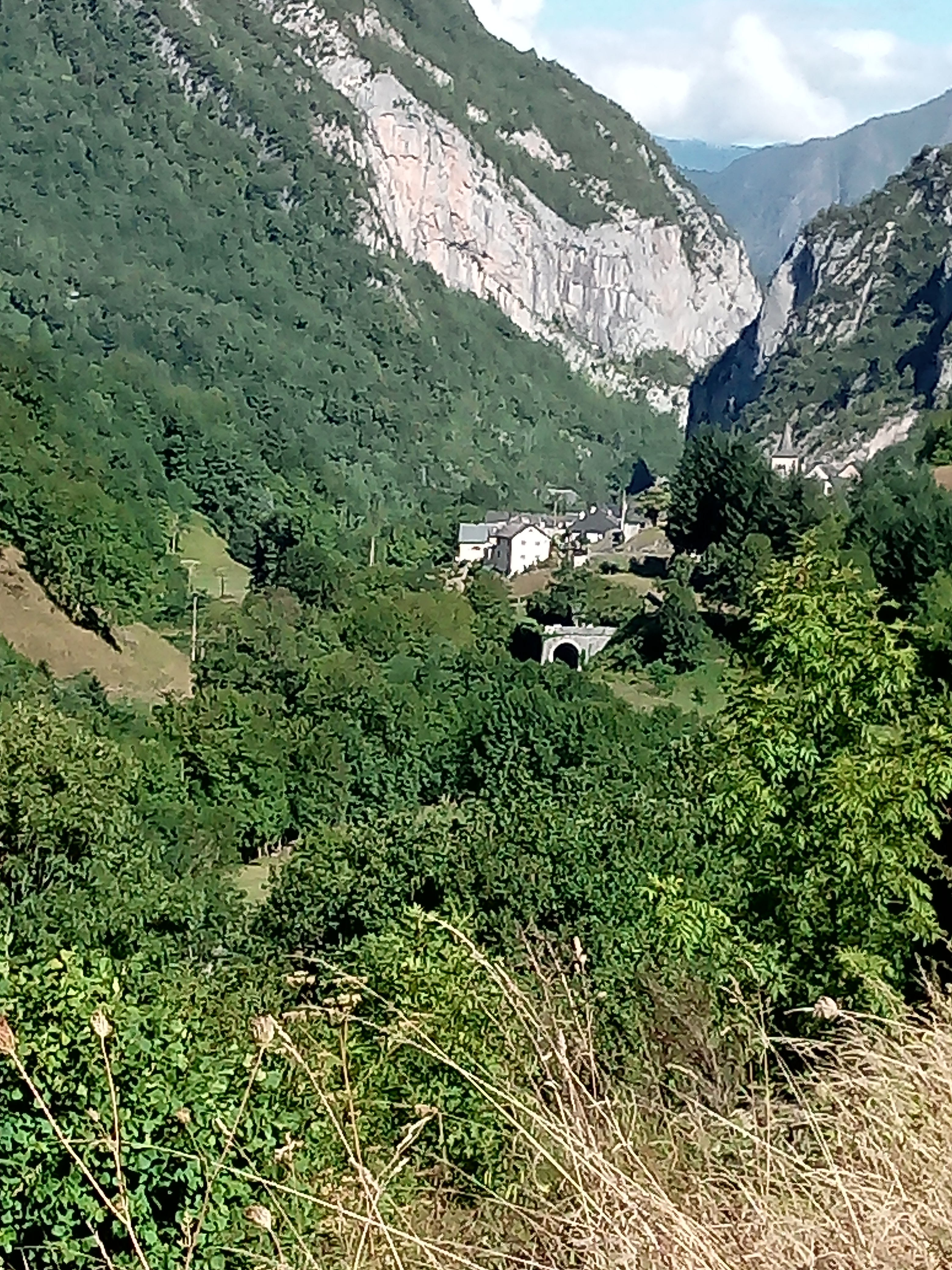 IMG_20190906_112555.jpg