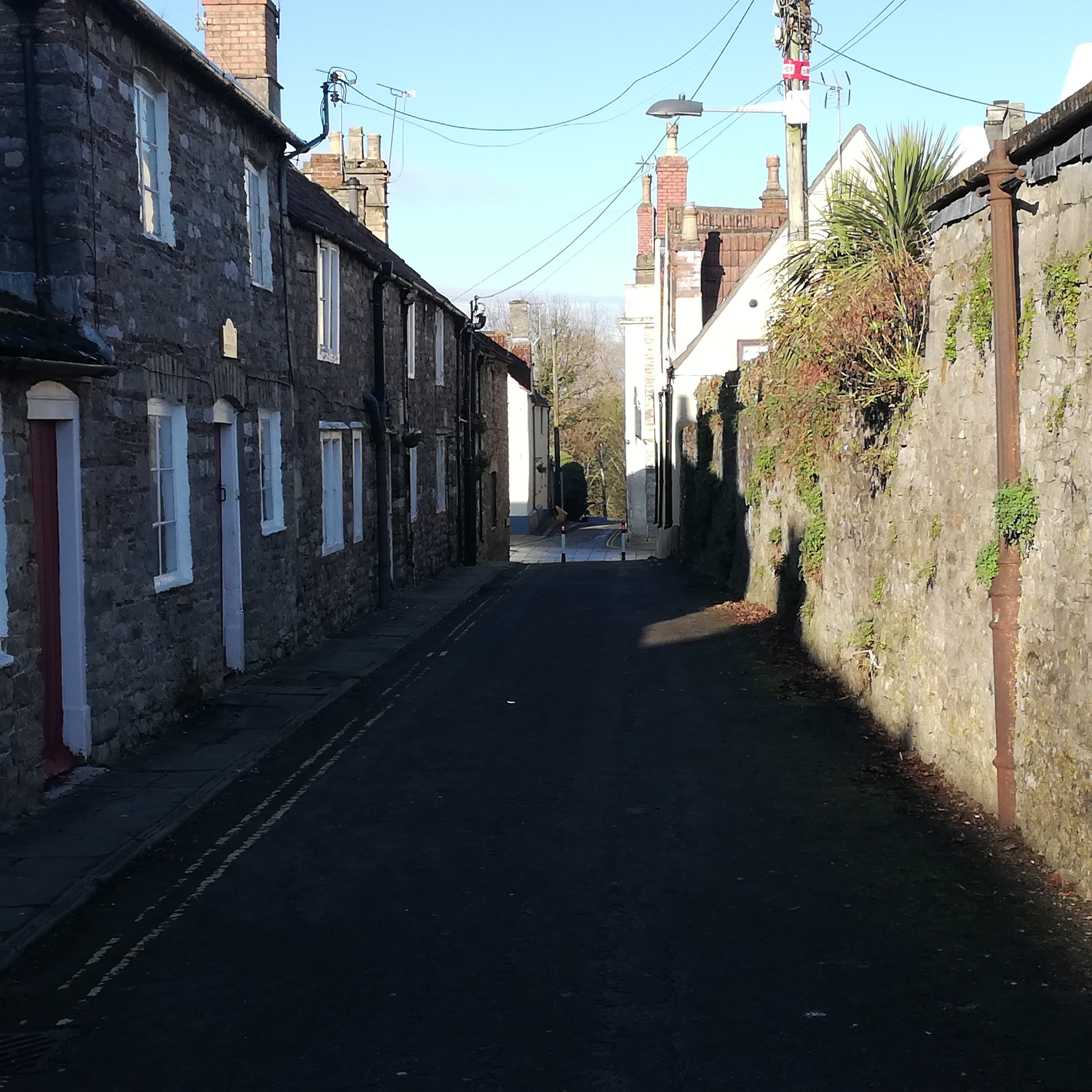 IMG_20201231_131128.jpg