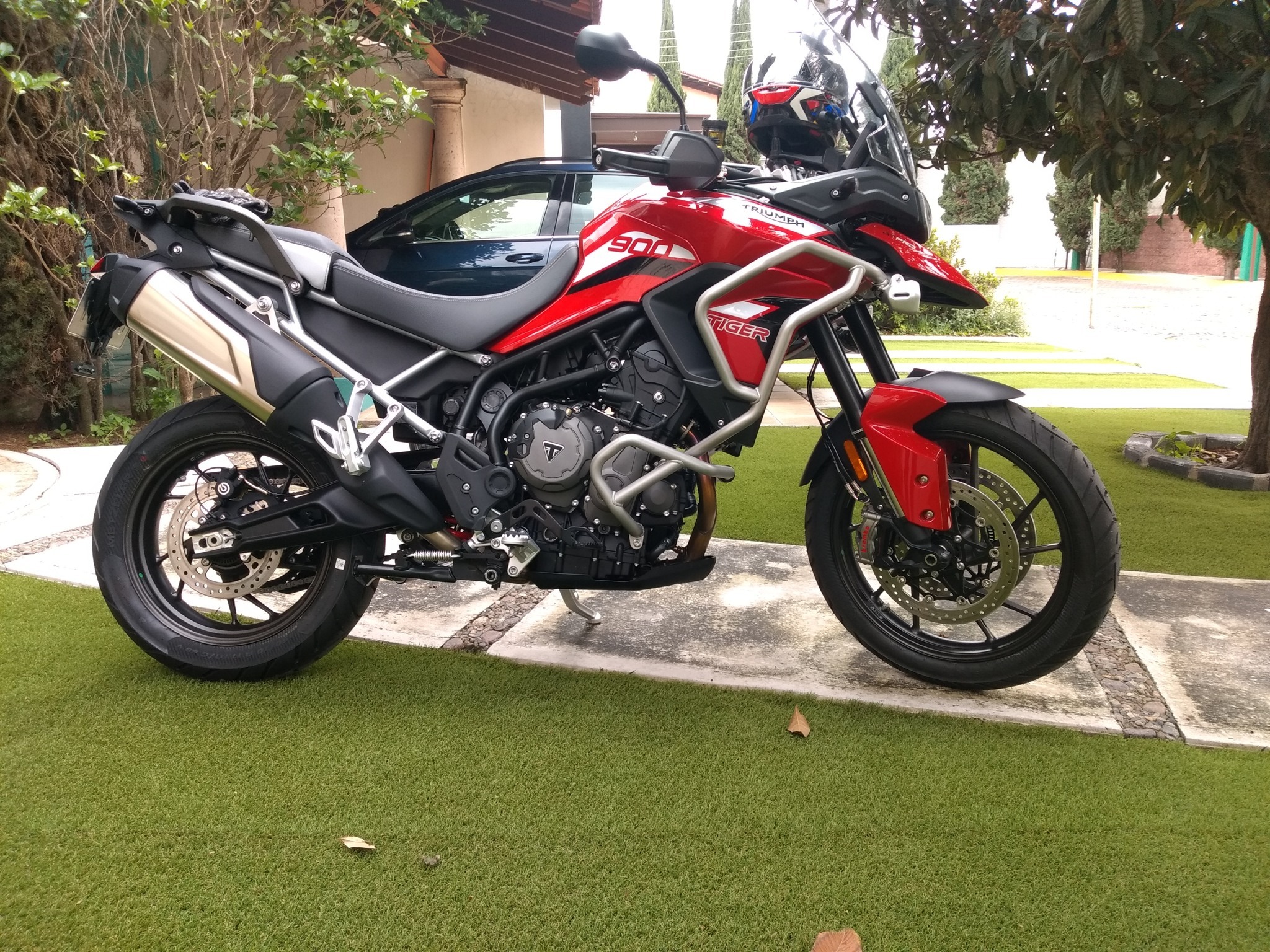 tiger 800 low for sale