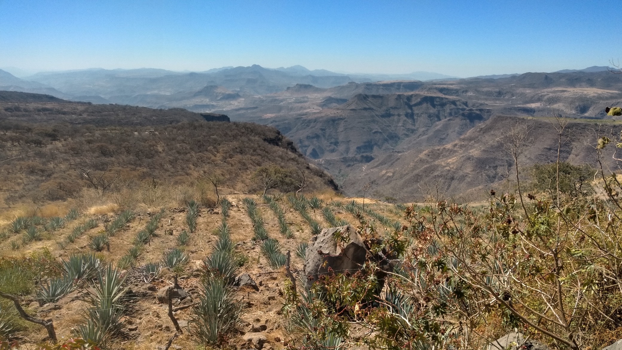 IMG_20220312_112556783_HDR.jpg
