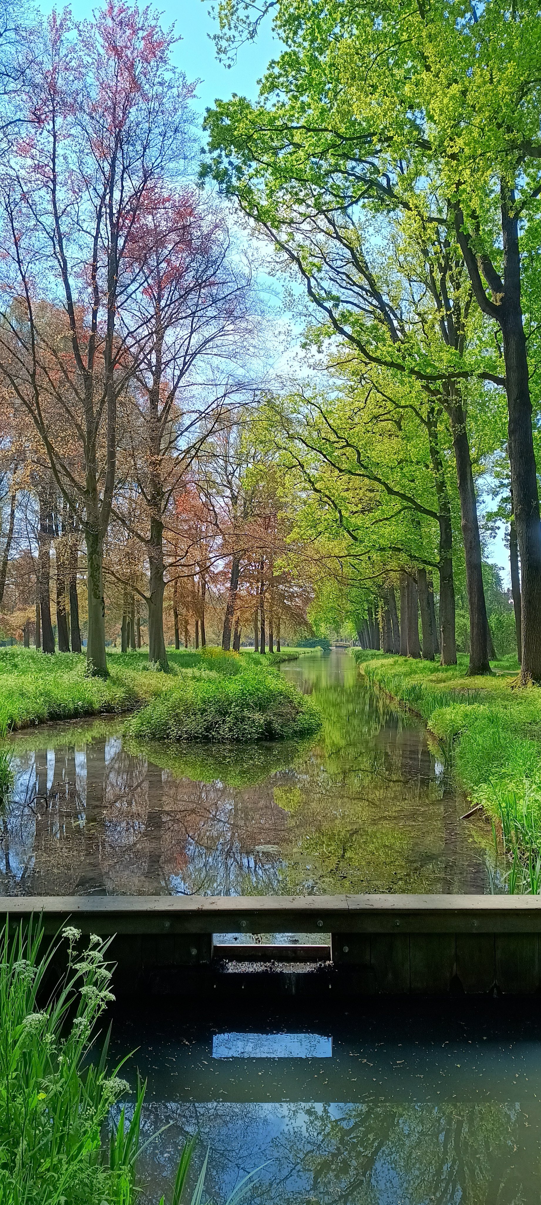 IMG_20250425_121423559_HDR.jpg