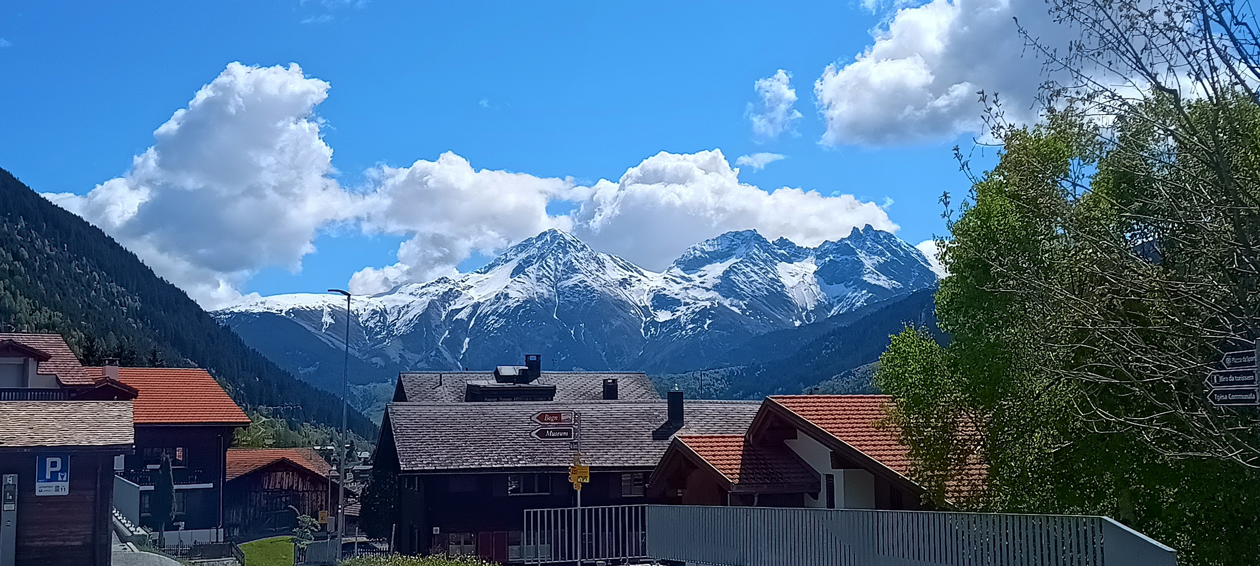 IMG_20250514_111920512_HDR.jpg