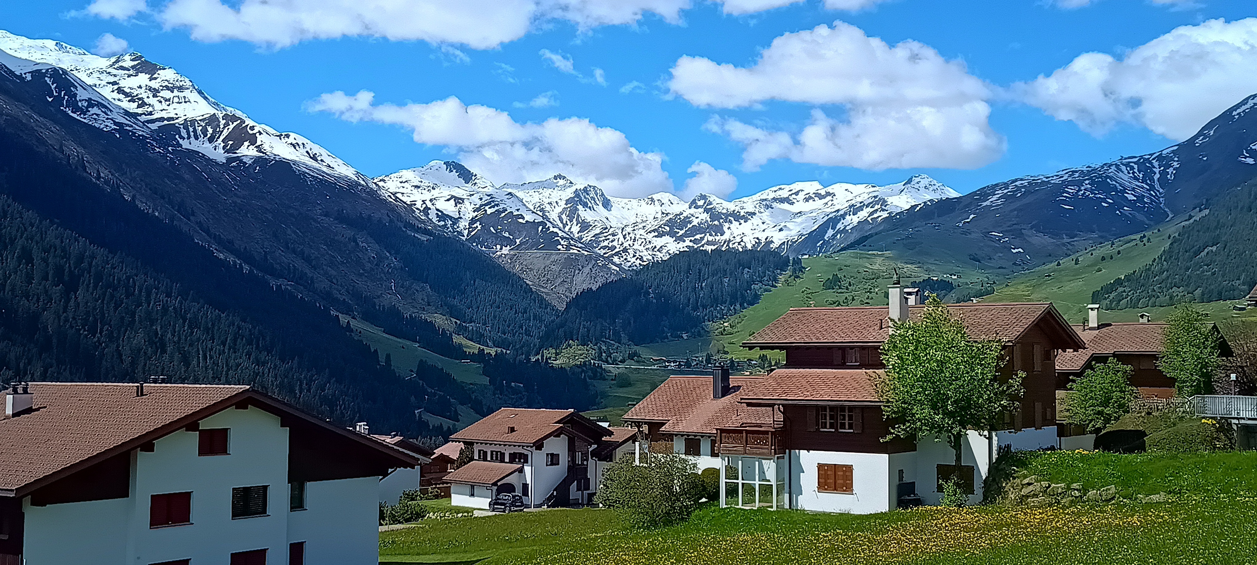IMG_20250514_112142895_HDR.jpg