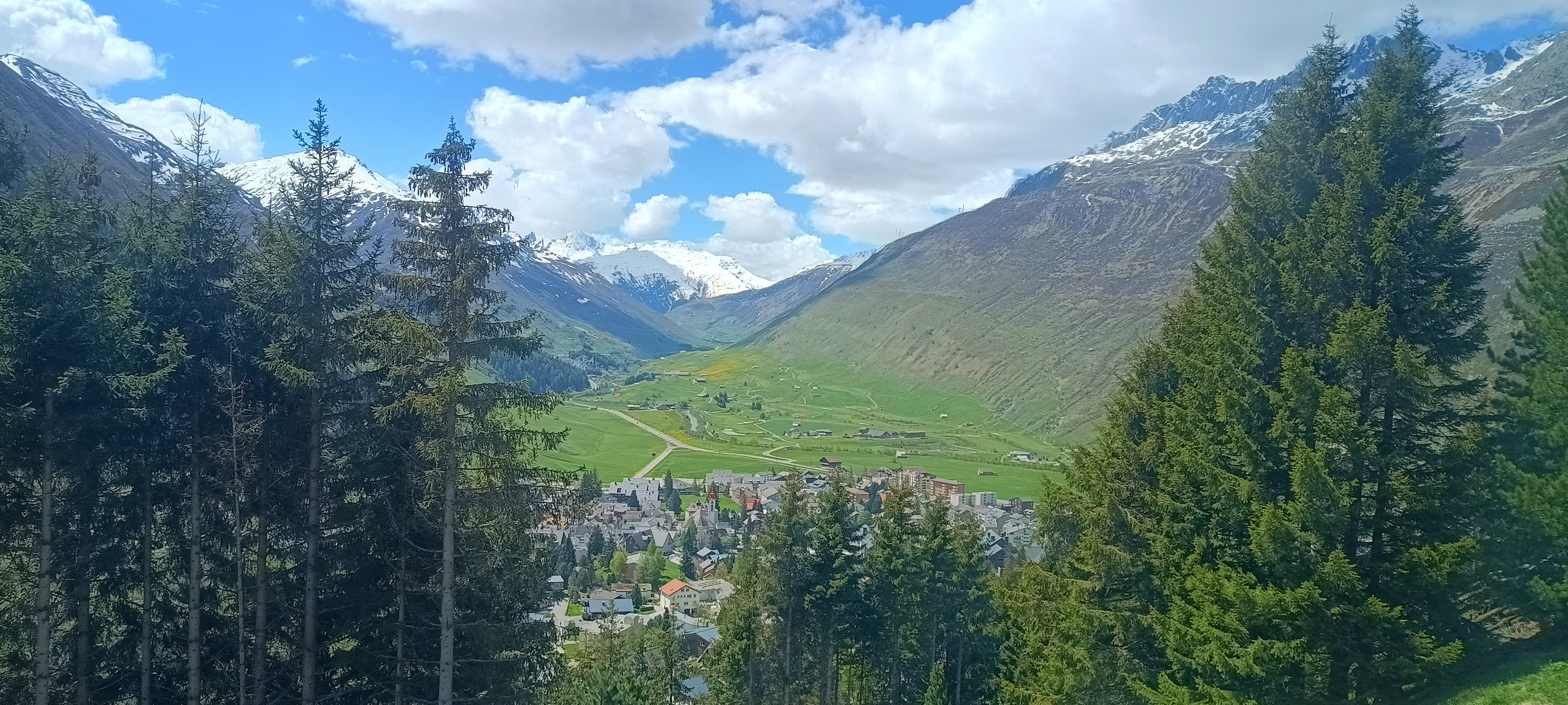 IMG_20250514_131220350_HDR.jpg