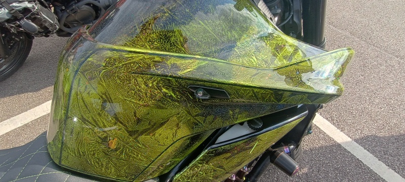 IMG_20250703_172908472_HDR.jpg