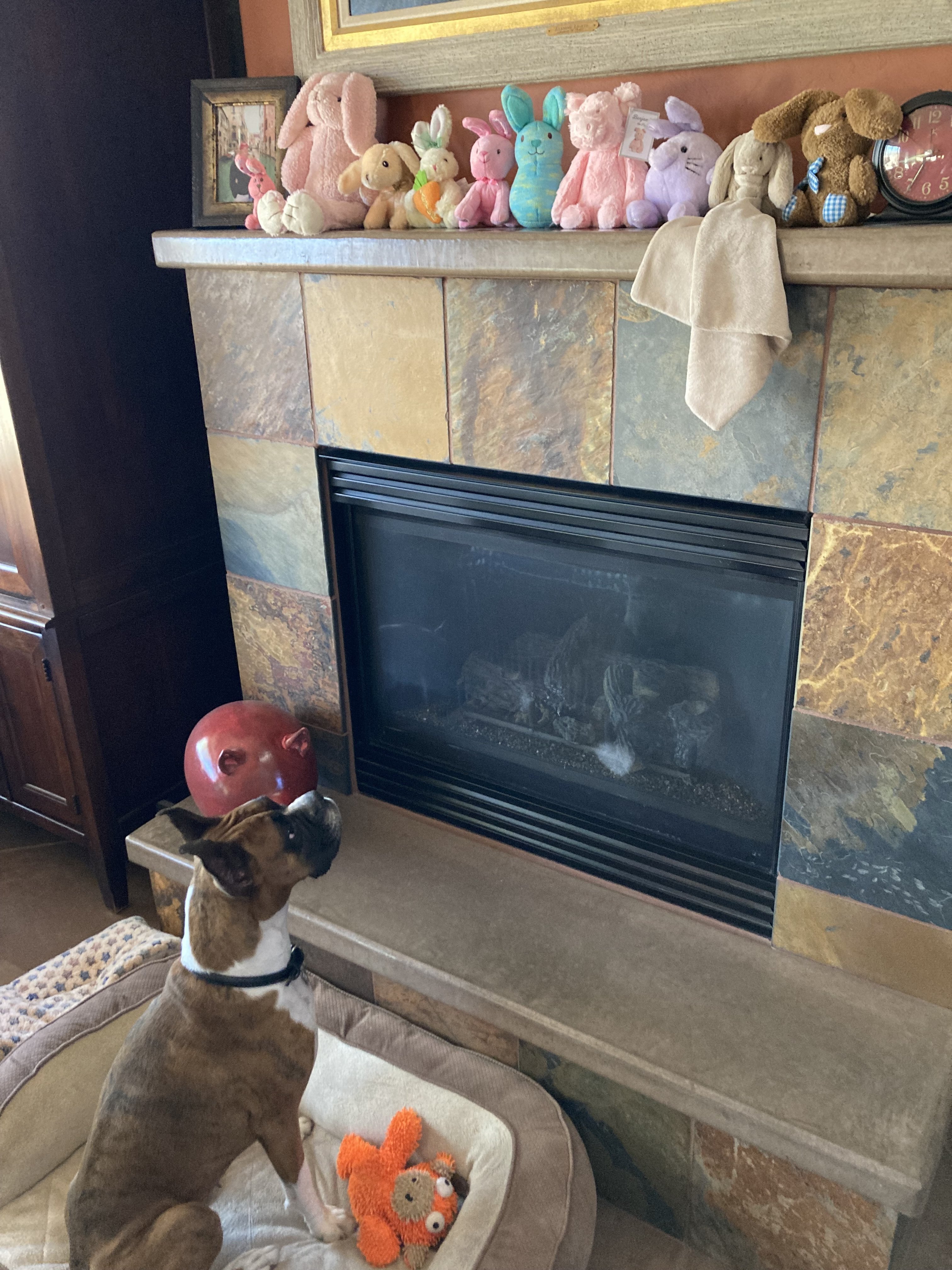 IMG_4307.jpeg