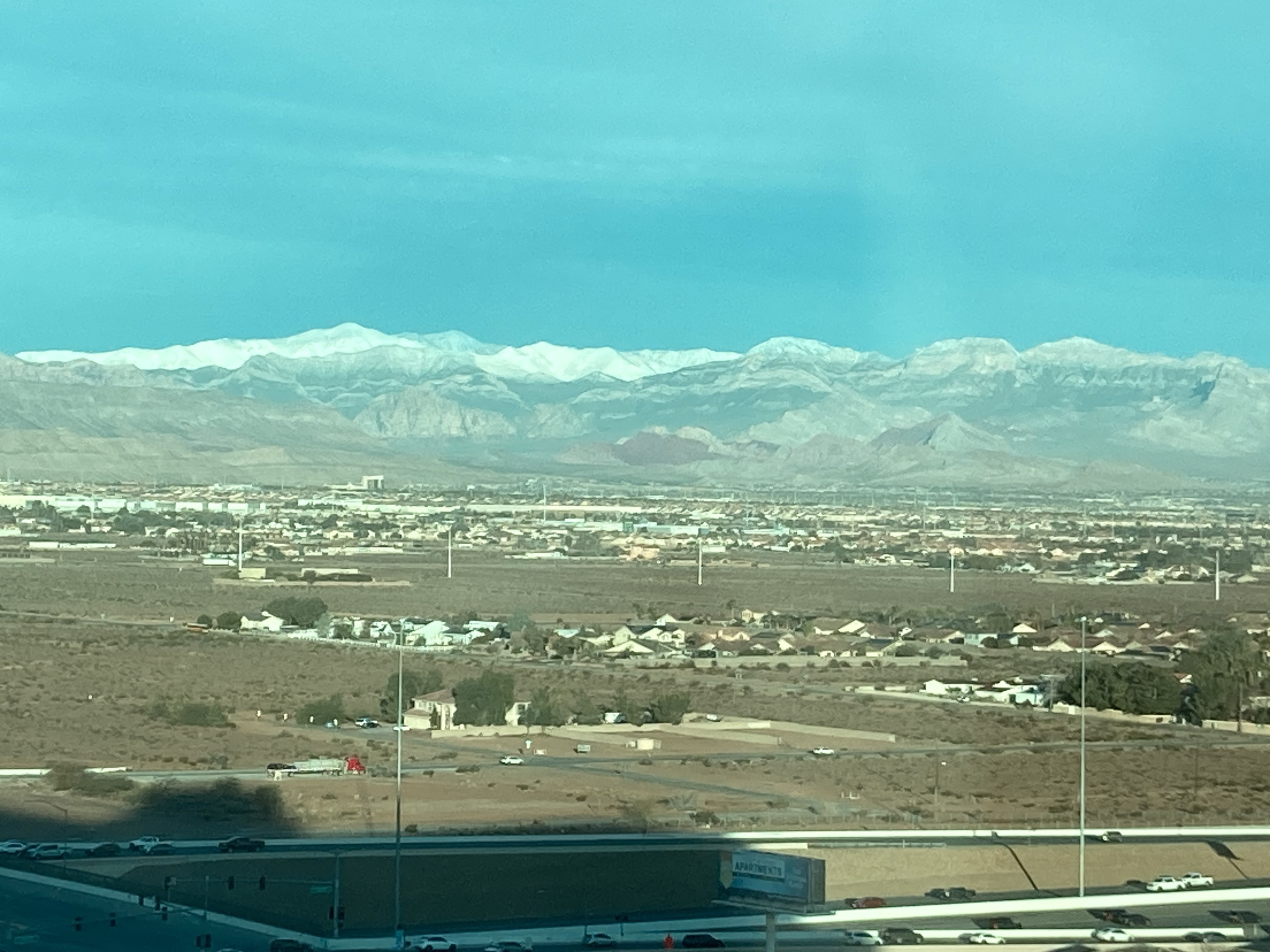 IMG_8895.jpeg