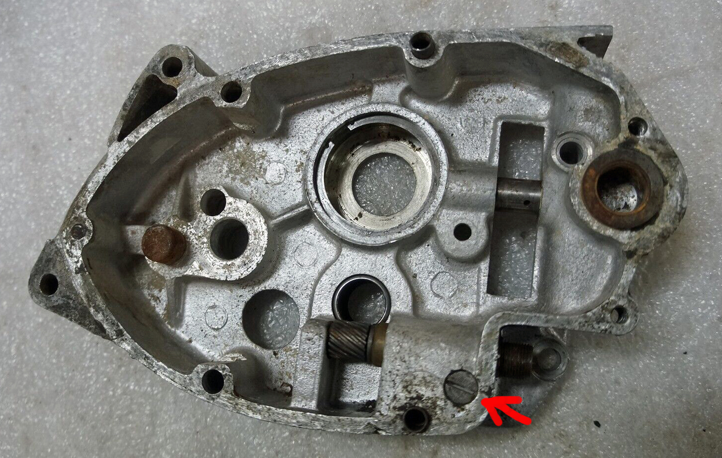 inner cover.jpg
