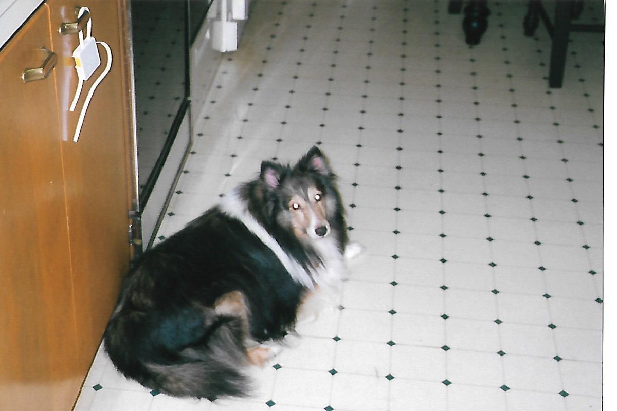 Jack Buddy.jpg