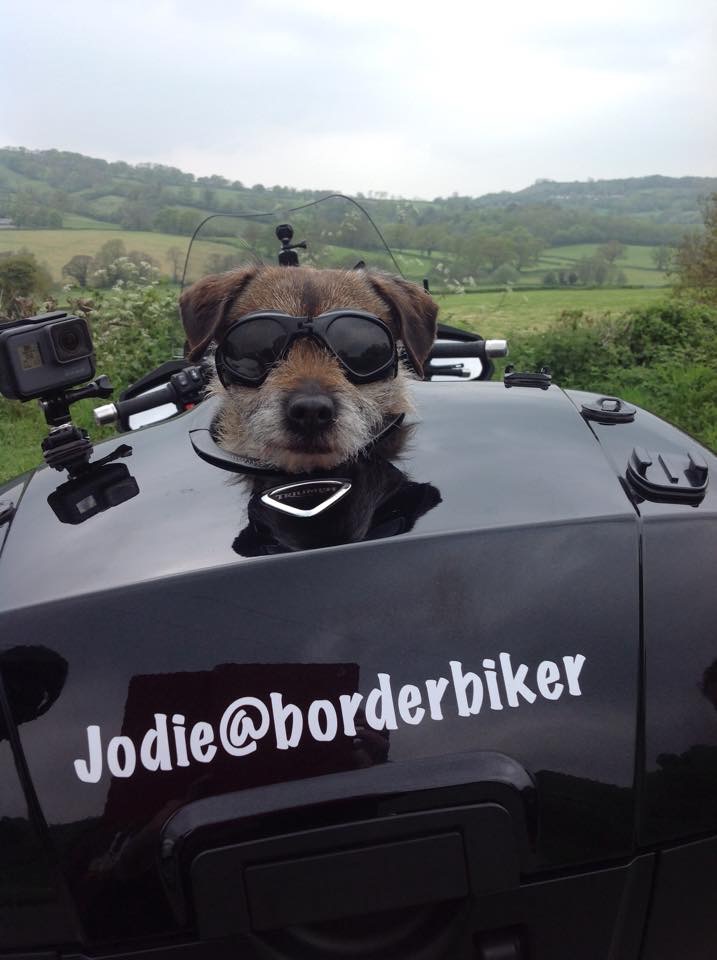 Jodie.JPG