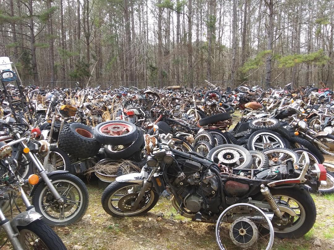 Junkyard 5.jpg