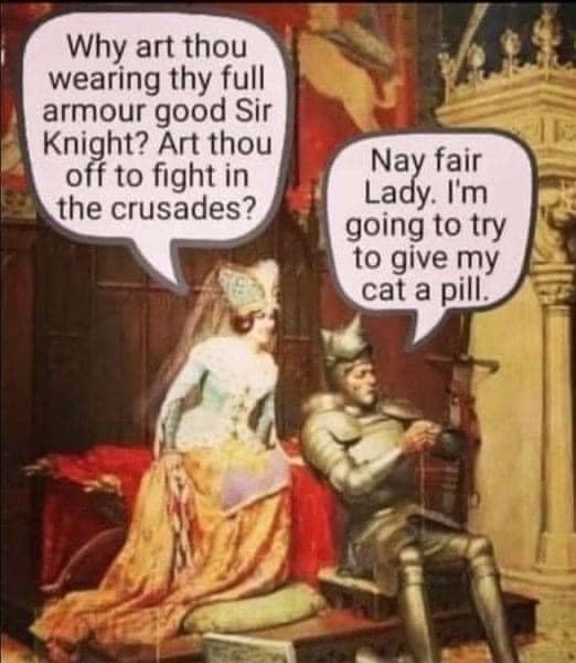 knight cat pill.jpg