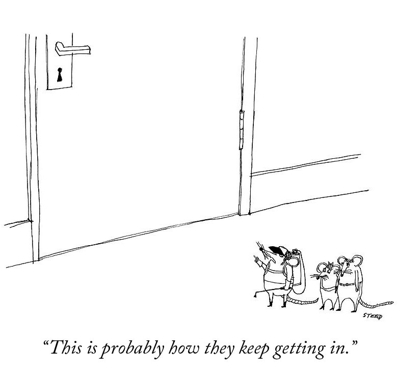 mice.jpg