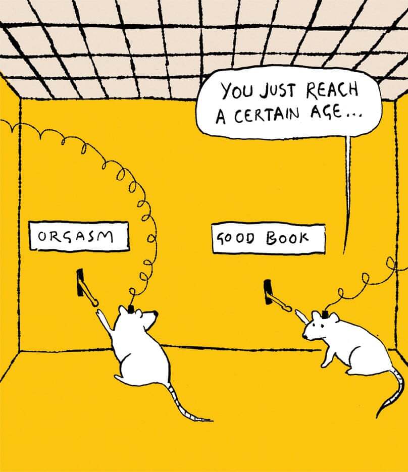 mice2.jpg