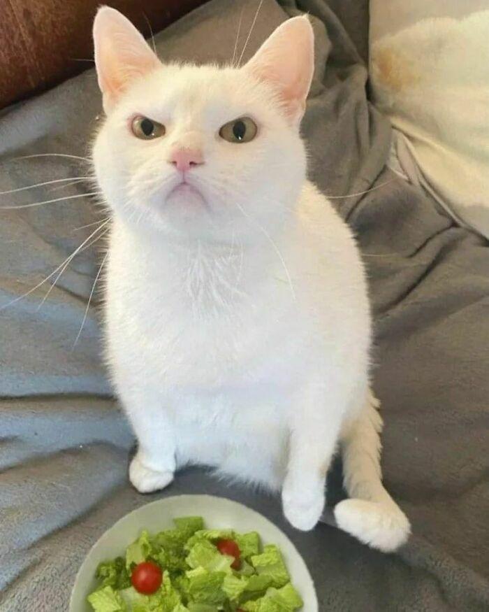 mnDxhRJ.jpg