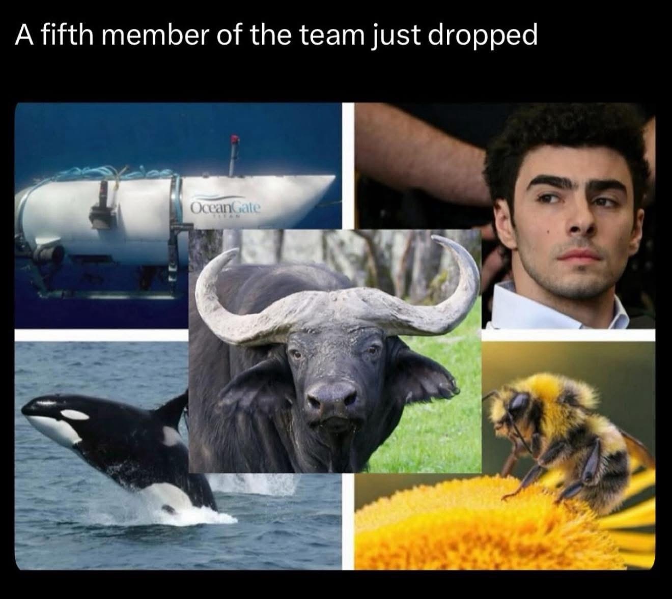 mpQ9qCO.jpeg