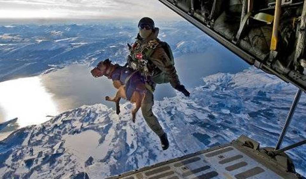 mwd-jump.jpg
