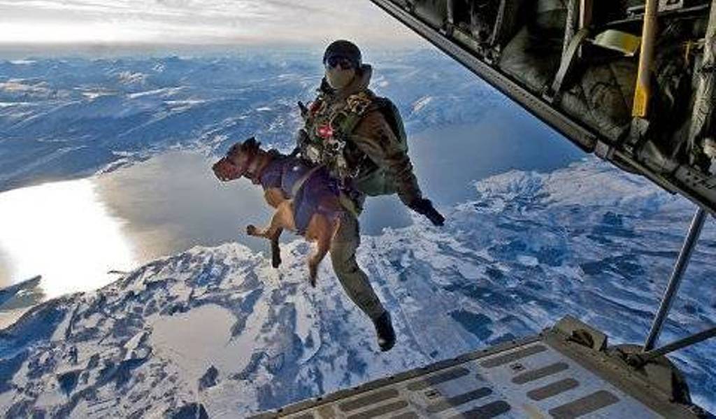 mwd-jump.jpg