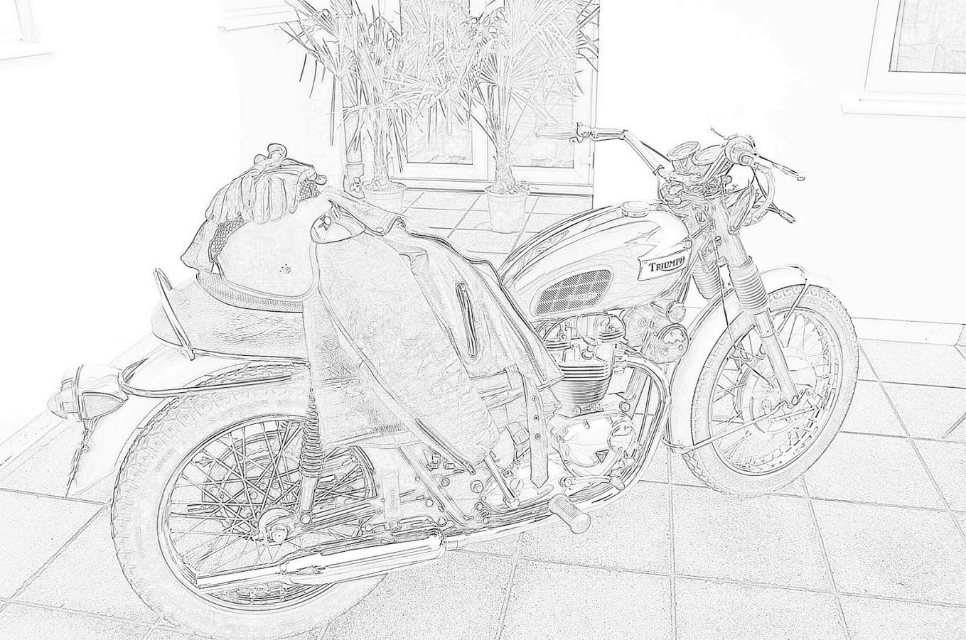 my bike.jpg