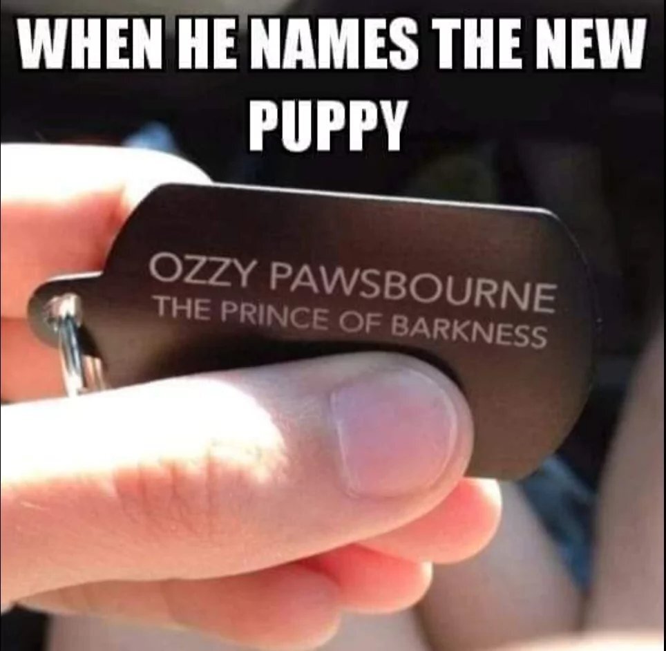 NameNewPuppy.jpg