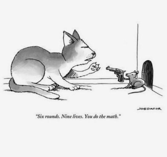 nine lives.jpg