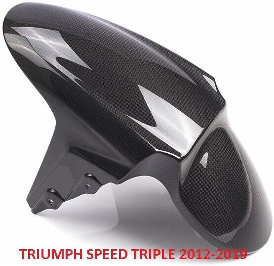 OEM Carbon Fender Triumph 16-18.jpg