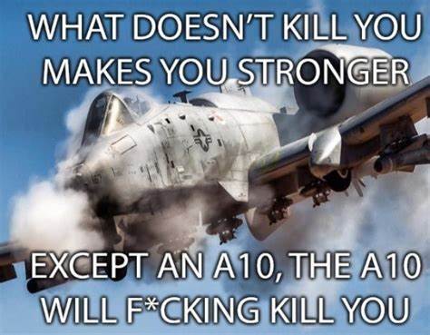 OIP.jpg