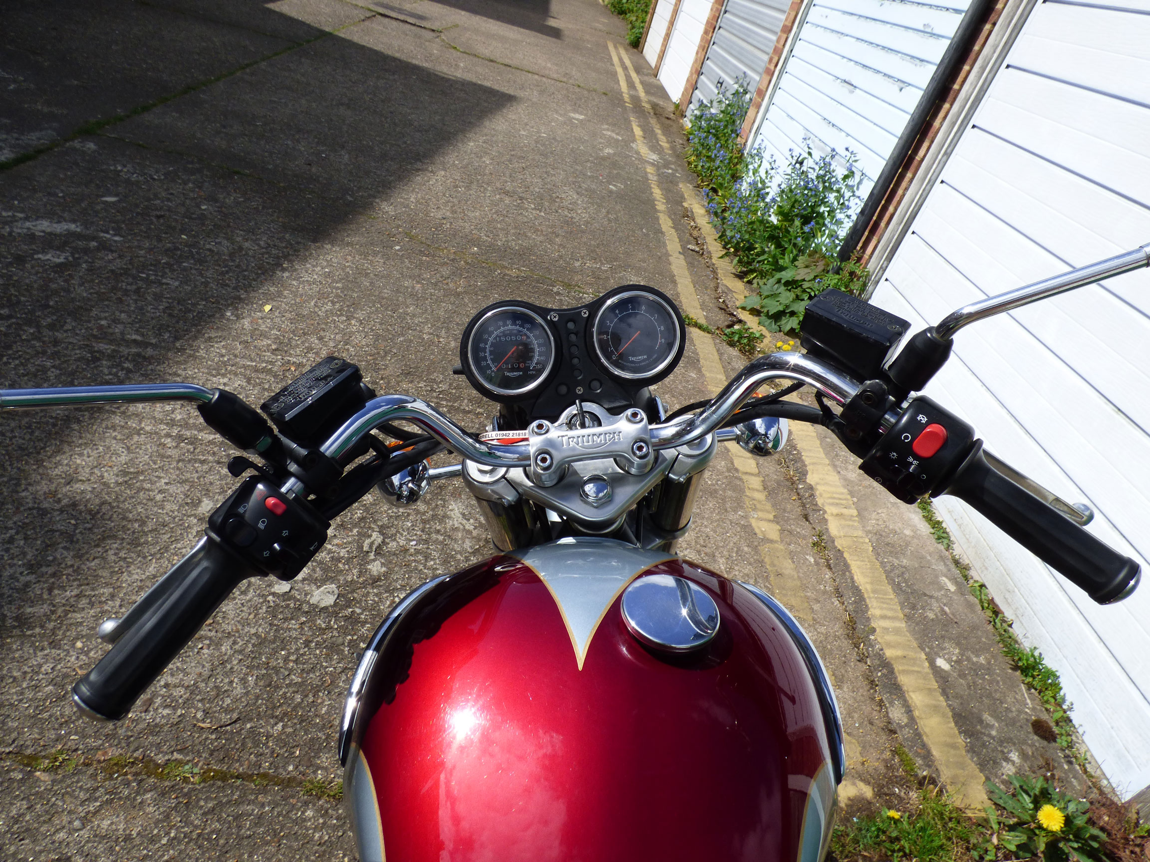 P1000019.jpg