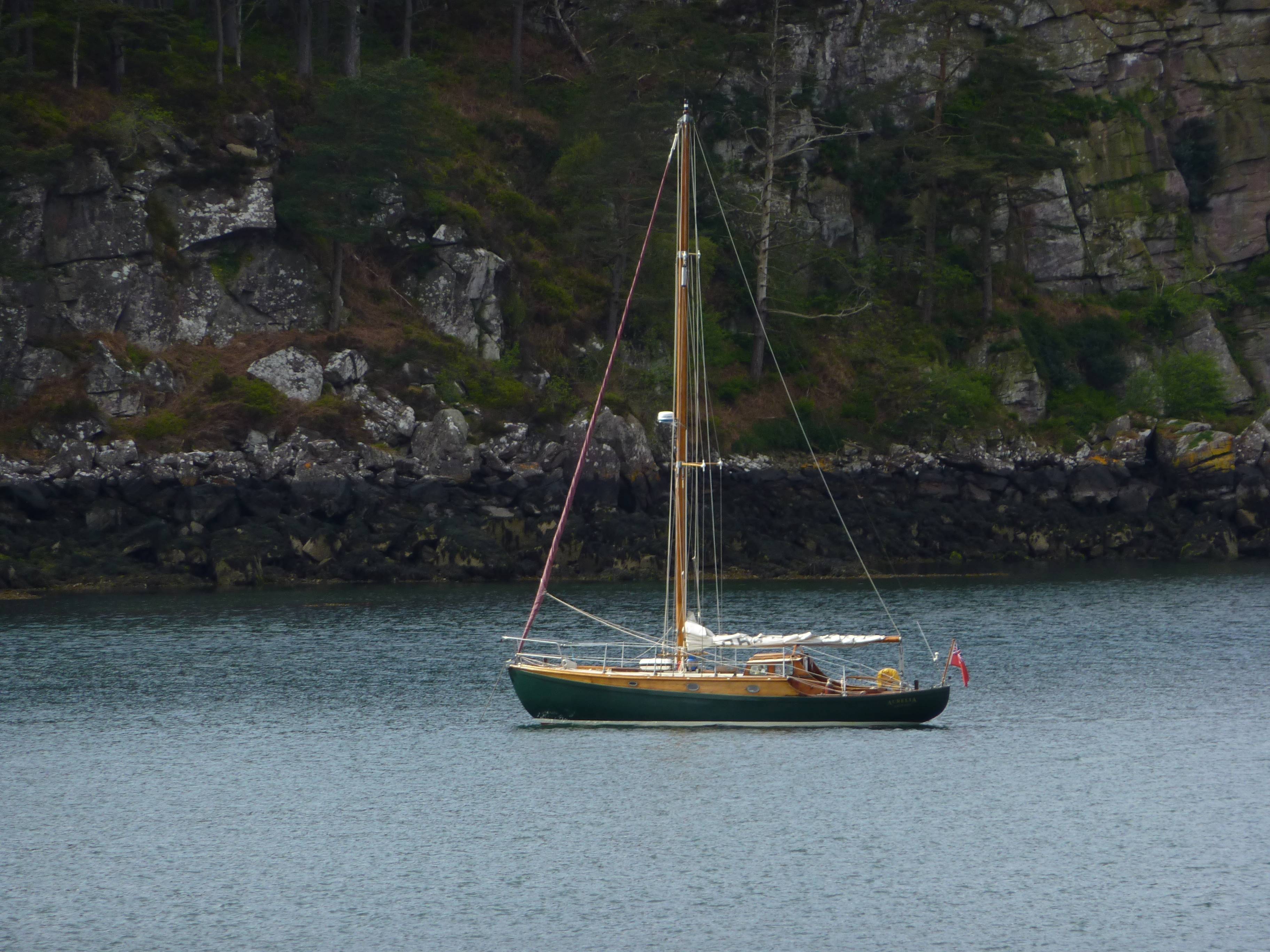 P1000428.JPG