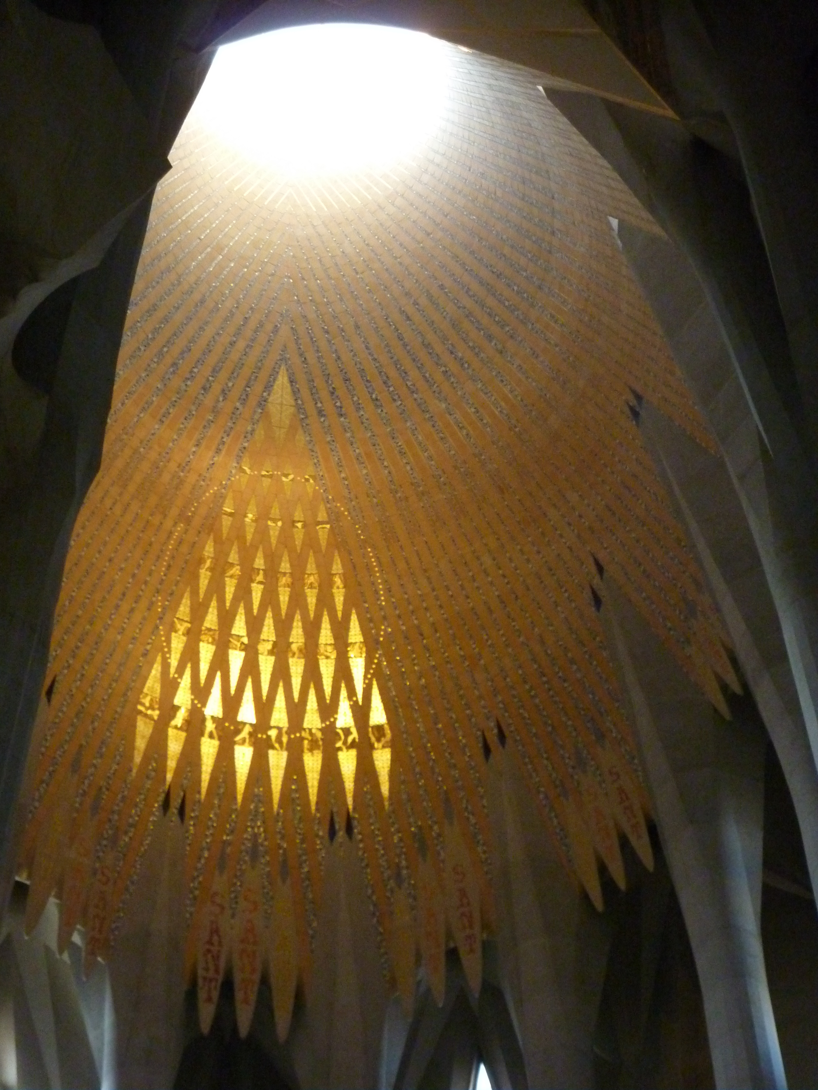 P1000545.JPG