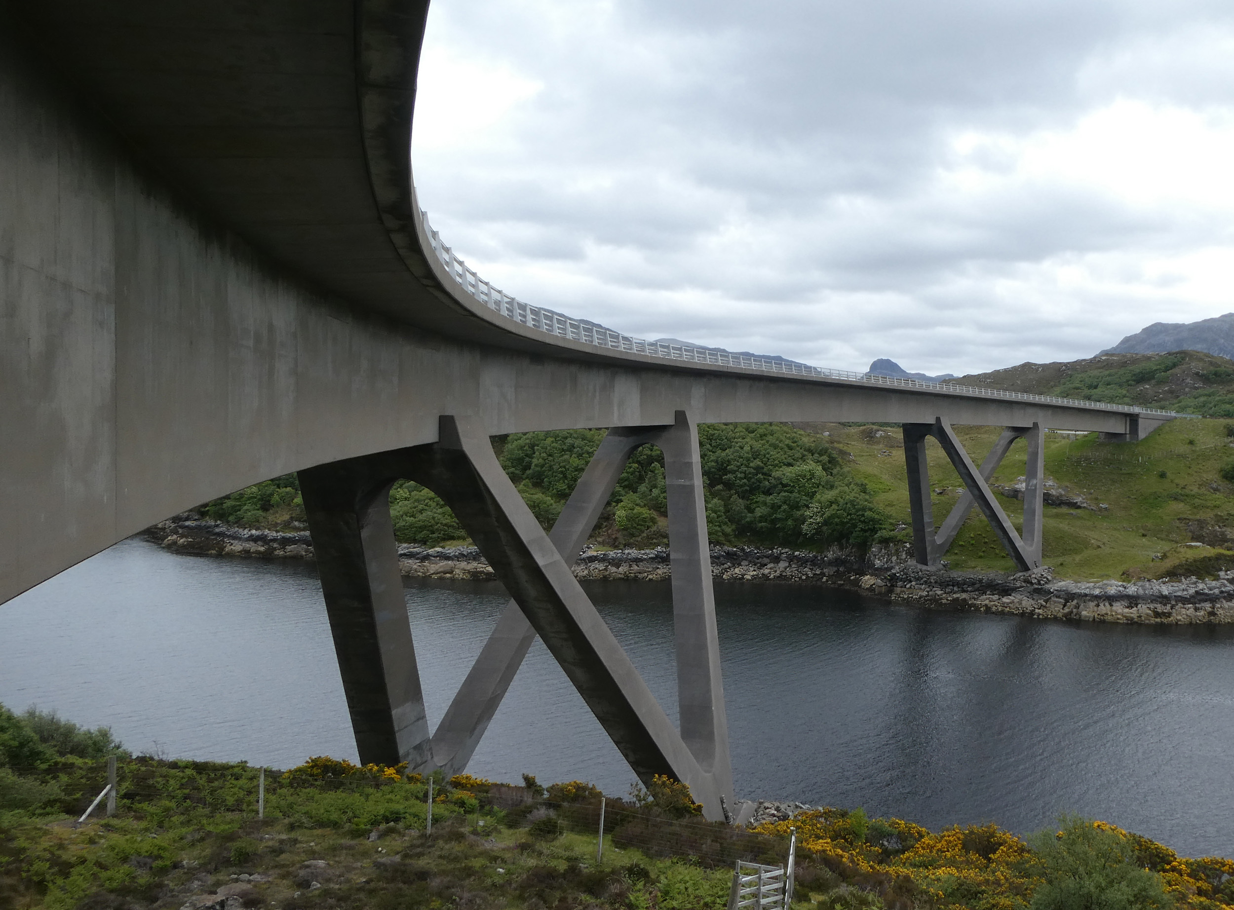 P1010550.JPG