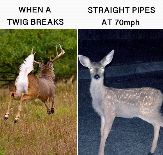 pipes.jpg