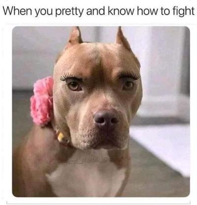 Pit.jpg