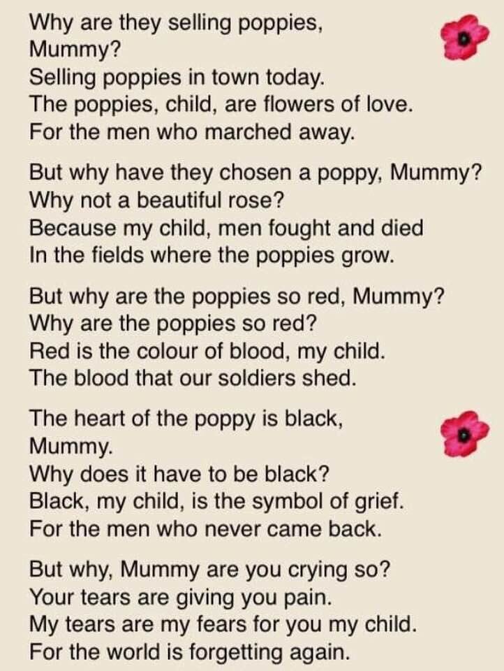 poppies and why.jpg