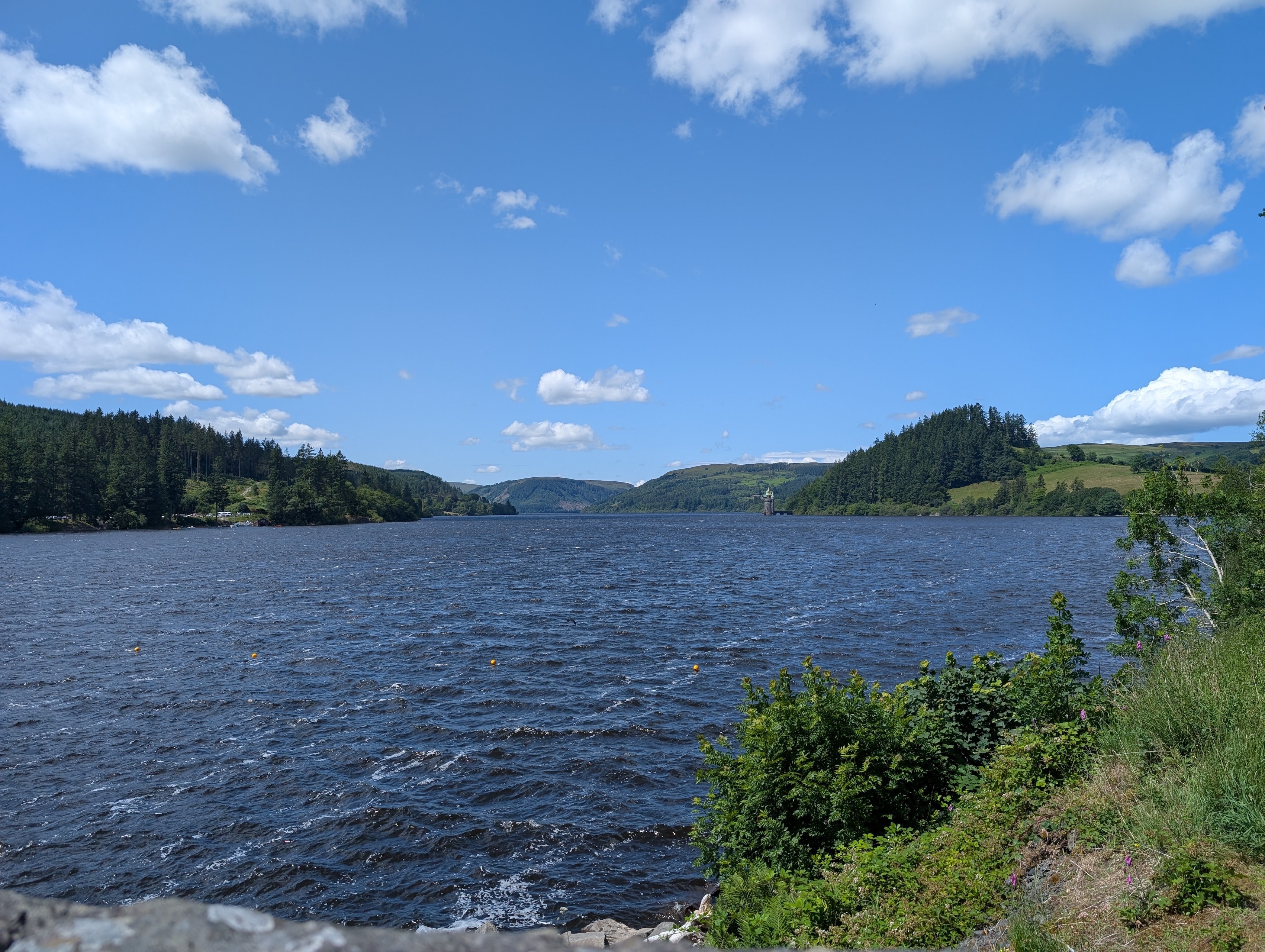 PXL_20250702_125550128.MP.jpg