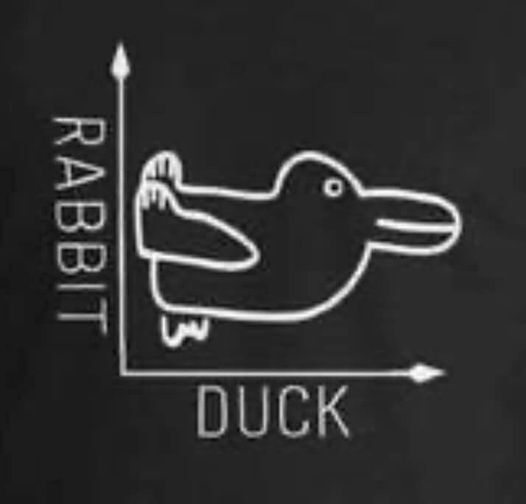 rabbit duck.jpg