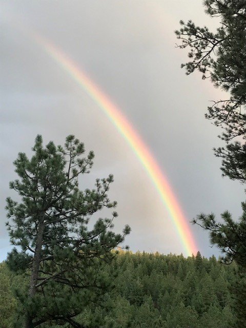 Rainbow.jpg