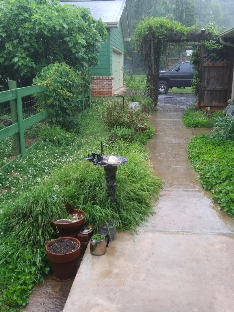 Raining.jpg