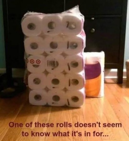 Roll.jpg