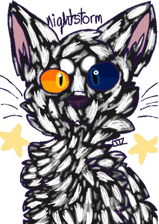 Rsz_nighty.png